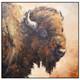 JEFF LOVE Art Original Oil Painting Young American Buffalo Bison Portrait 24X24