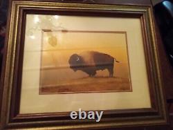 Jim Horton 1976 Original, American Buffalo