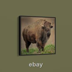 Joe Alderman American Bison Art Print on Paper or Canvas