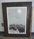 John Seerey-lester Framed Limited Edition Print American Bison Buffalo 104/950