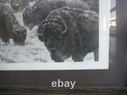 John Seerey-lester Framed Limited Edition Print American Bison Buffalo 104/950