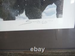 John Seerey-lester Framed Limited Edition Print American Bison Buffalo 104/950