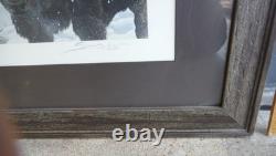 John Seerey-lester Framed Limited Edition Print American Bison Buffalo 104/950