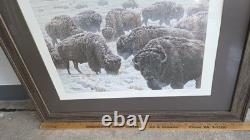 John Seerey-lester Framed Limited Edition Print American Bison Buffalo 104/950
