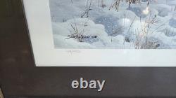 John Seerey-lester Framed Limited Edition Print American Bison Buffalo 104/950