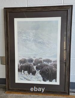 John Seerey-lester Framed Limited Edition Print American Bison Buffalo 104/950