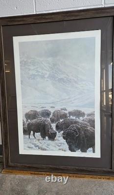 John Seerey-lester Framed Limited Edition Print American Bison Buffalo 104/950