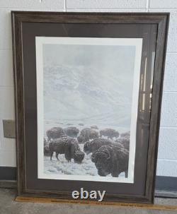 John Seerey-lester Framed Limited Edition Print American Bison Buffalo 104/950