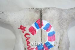 Jr Charlie Fast Folk Pop Art Painting Taxidermy River Find Bison Buffalo Skull