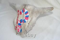 Jr Charlie Fast Folk Pop Art Painting Taxidermy River Find Bison Buffalo Skull
