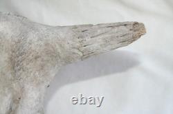 Jr Charlie Fast Folk Pop Art Painting Taxidermy River Find Bison Buffalo Skull