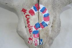 Jr Charlie Fast Folk Pop Art Painting Taxidermy River Find Bison Buffalo Skull