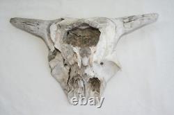 Jr Charlie Fast Folk Pop Art Painting Taxidermy River Find Bison Buffalo Skull