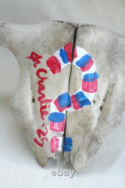 Jr Charlie Fast Folk Pop Art Painting Taxidermy River Find Bison Buffalo Skull