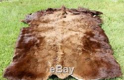 Kansas Bison Buffalo Hide Rug Robe