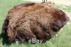 Kansas Bison Buffalo Hide Rug Robe