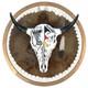 Lakota Sioux Painted Buffalo Bison Skull on Tanned Beaver
