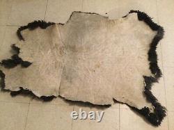 Large 4 x 3 ft Buffalo Bison Hide Montana Fall Soft Tanned Hide Nice Look