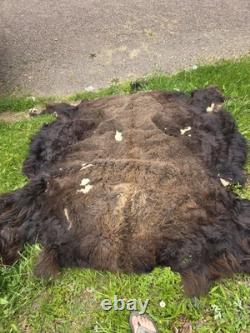 Large 6×6ft Buffalo Hide