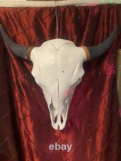 Large Buffalo Bison Head Skull