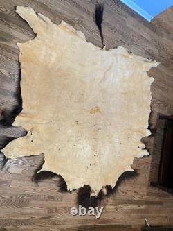 Large Buffalo Bison Hide Rug Real Tanned Western Cabin Lodge Decor Wall or Floor