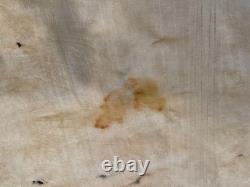 Large Buffalo Bison Hide Rug Real Tanned Western Cabin Lodge Decor Wall or Floor