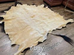 Large Buffalo Bison Hide Rug Real Tanned Western Cabin Lodge Decor Wall or Floor