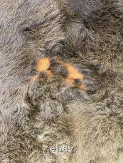 Large Buffalo Bison Hide Rug Real Tanned Western Cabin Lodge Decor Wall or Floor
