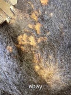 Large Buffalo Bison Hide Rug Real Tanned Western Cabin Lodge Decor Wall or Floor