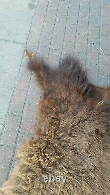 Large Piece Bison Buffalo Head Scrap Fur Hide Leather Taxidermy Pelt Soft Fur