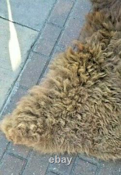 Large Piece Bison Buffalo Head Scrap Fur Hide Leather Taxidermy Pelt Soft Fur