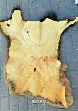 Large Piece Bison Buffalo Head Scrap Fur Hide Leather Taxidermy Pelt Soft Fur