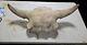 Large Prehistoric BISON Occidentalis (Buffalo) Skull As Seen In My Blog
