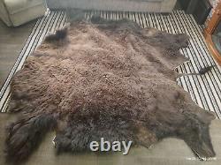 Large Tanned Whole Bison Hide