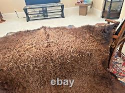 Large Top Quality Bison Hair-on-hide (rug/wall/decorative)