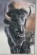Ltd. Edition Thomas D. Mangelsen Photograph Native American Bison 1077/2500
