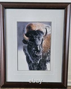 Ltd. Edition Thomas D. Mangelsen Photograph Native American Bison 1077/2500