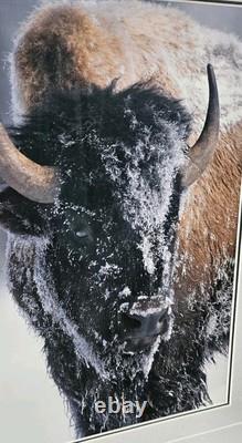 Ltd. Edition Thomas D. Mangelsen Photograph Native American Bison 1077/2500