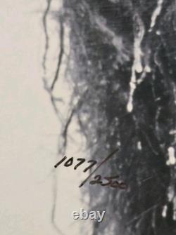 Ltd. Edition Thomas D. Mangelsen Photograph Native American Bison 1077/2500