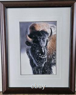 Ltd. Edition Thomas D. Mangelsen Photograph Native American Bison 1077/2500