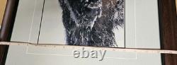 Ltd. Edition Thomas D. Mangelsen Photograph Native American Bison 1077/2500