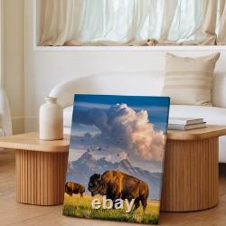 Majestic Bison Stands Prominently On A Sunlit Grassy Plain, Its Thick Wall Art