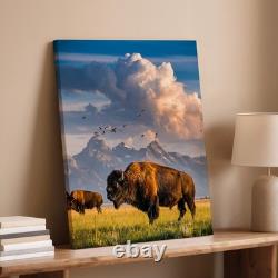 Majestic Bison Stands Prominently On A Sunlit Grassy Plain, Its Thick Wall Art