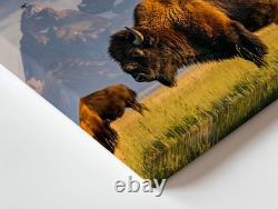 Majestic Bison Stands Prominently On A Sunlit Grassy Plain, Its Thick Wall Art