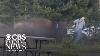 Man Says He S Ok After Bison Attack At Yellowstone