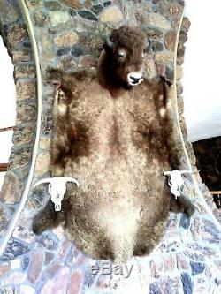 Massive Buffalo Trophy Head & Hide Robe- Bull Bison Shoulder Mount & Skin Pelt