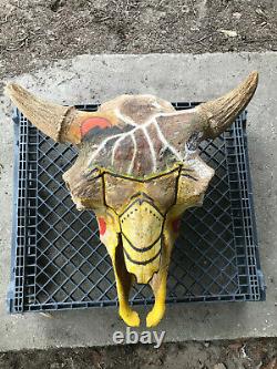 Massive Fossil, Pleistene Ice Age Bison Head, White River Deposit, South Dakota