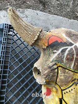 Massive Fossil, Pleistene Ice Age Bison Head, White River Deposit, South Dakota