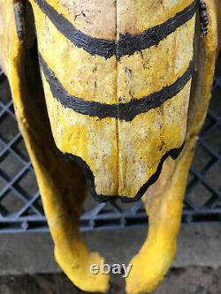 Massive Fossil, Pleistene Ice Age Bison Head, White River Deposit, South Dakota