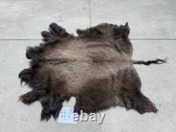 Montana Tanned Bison Buffalo Hide Rug/ Native American/ Curio